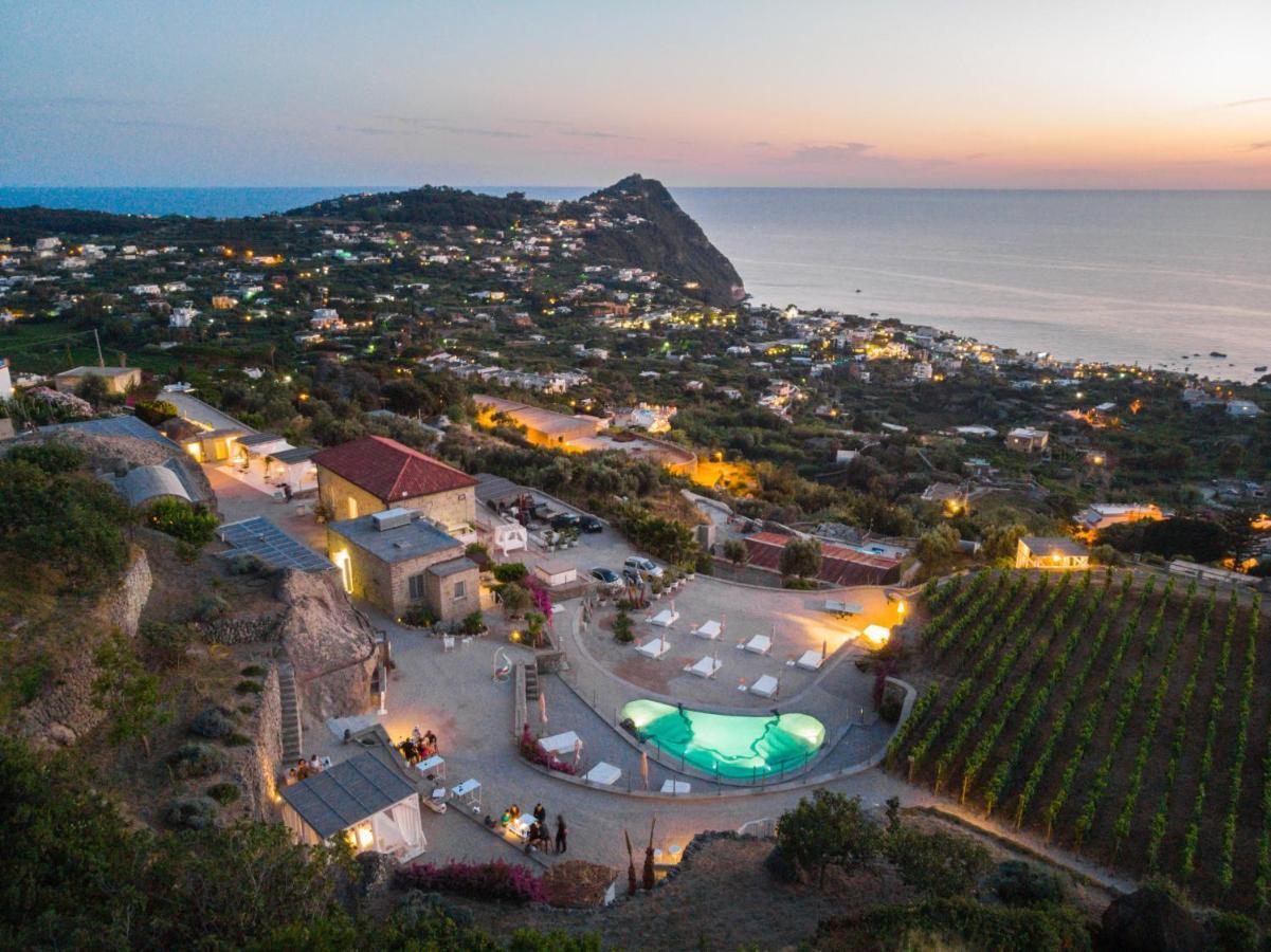 Tenuta C'Est La Vie Forio di Ischia Exteriér fotografie