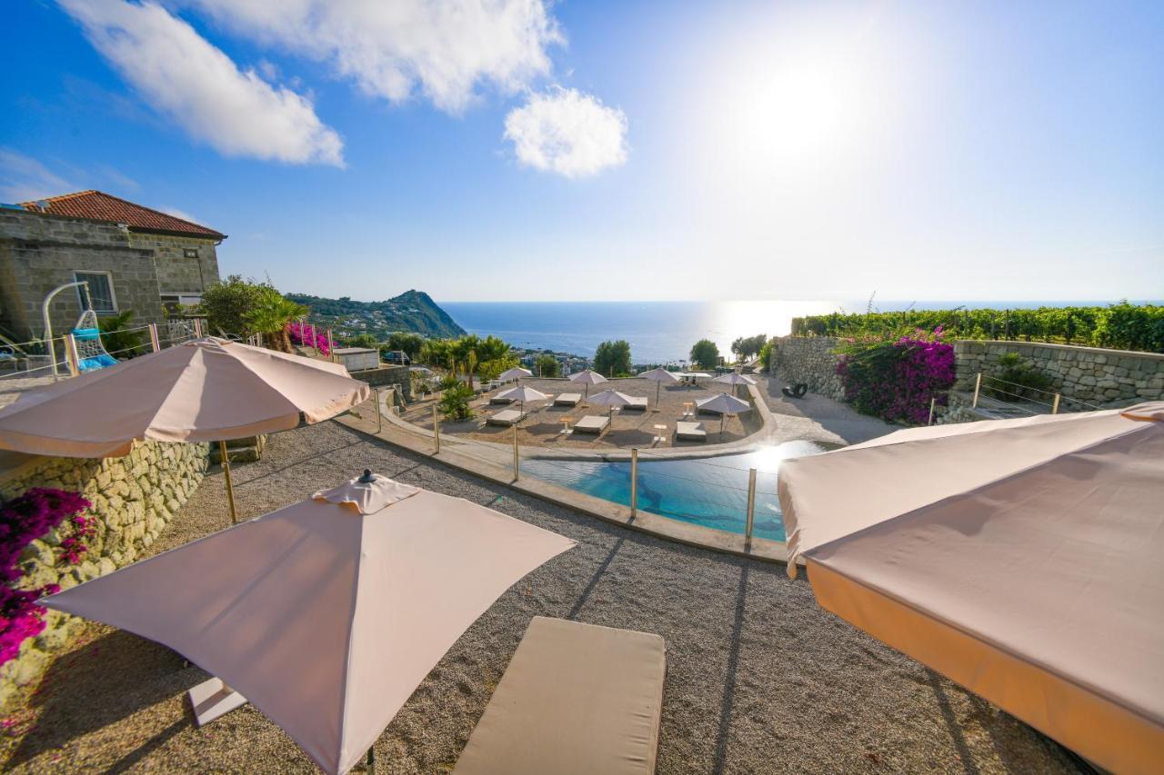 Tenuta C'Est La Vie Forio di Ischia Exteriér fotografie
