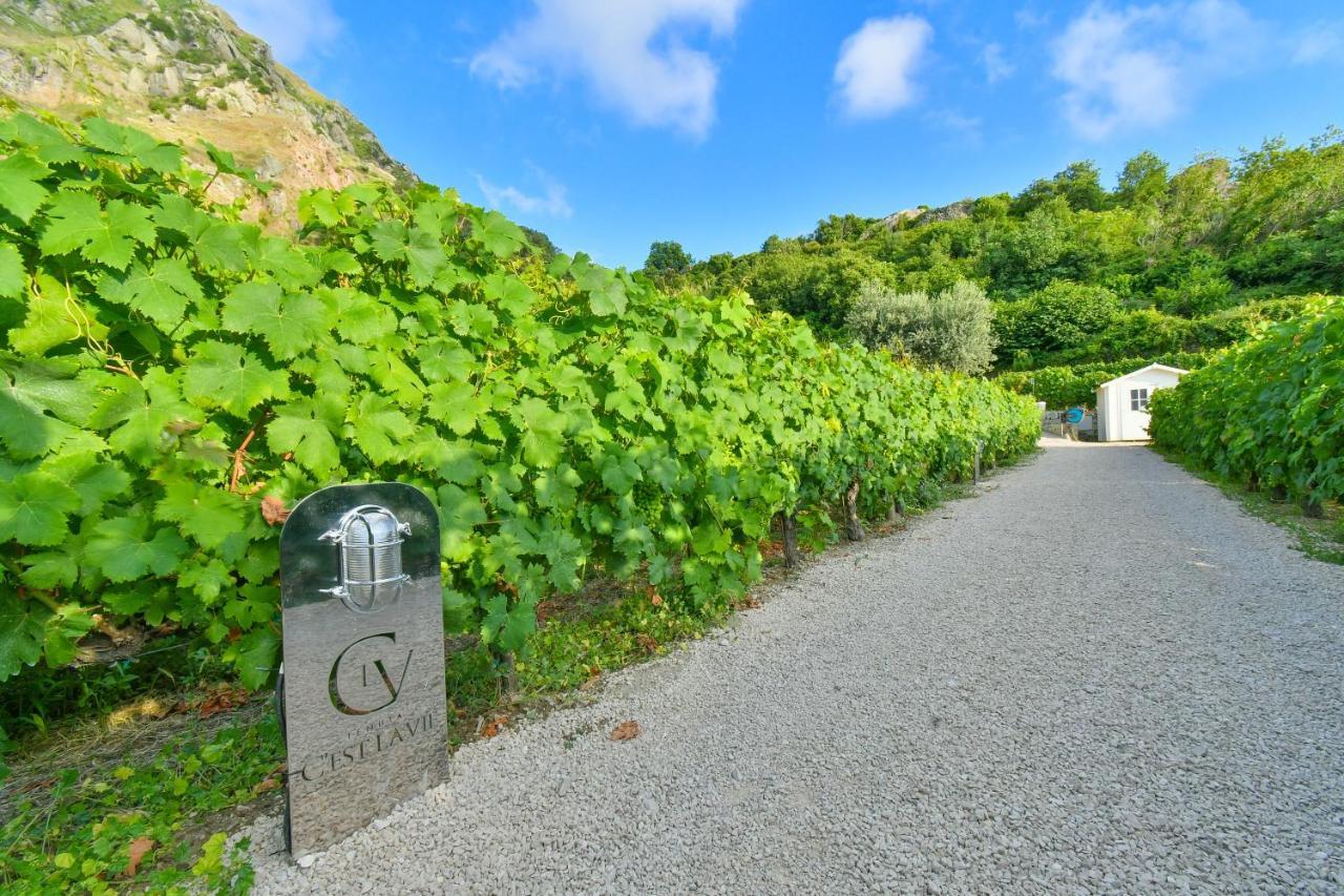 Hotel Tenuta C'Est La Vie Forio di Ischia Exteriér fotografie