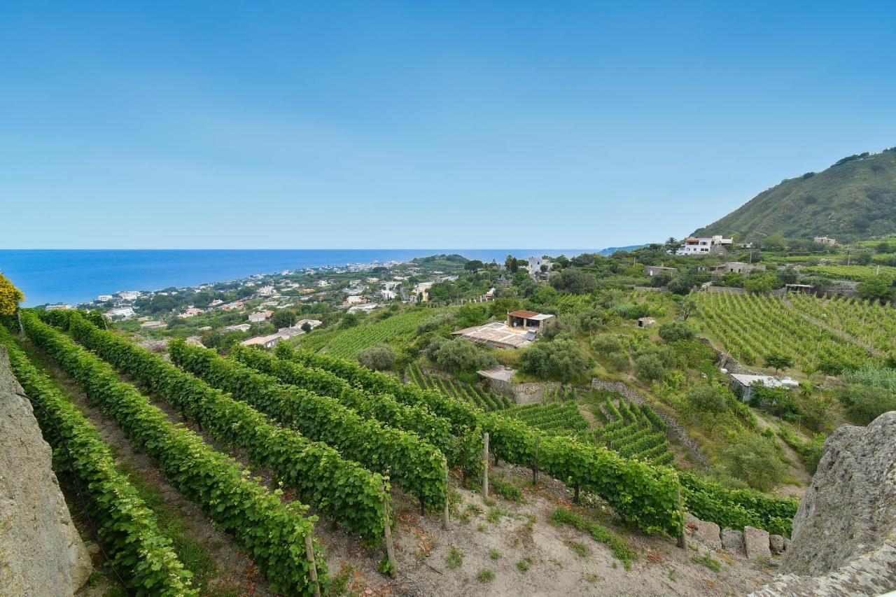 Tenuta C'Est La Vie Forio di Ischia Exteriér fotografie